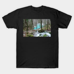 Nadiza River Near Napoleon Bridge T-Shirt